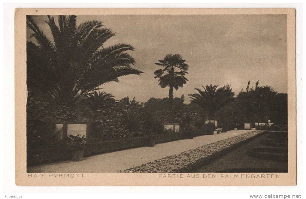 GERMANY - BAD PYRMONT, Palmengarten, Old Postcard - Bad Pyrmont