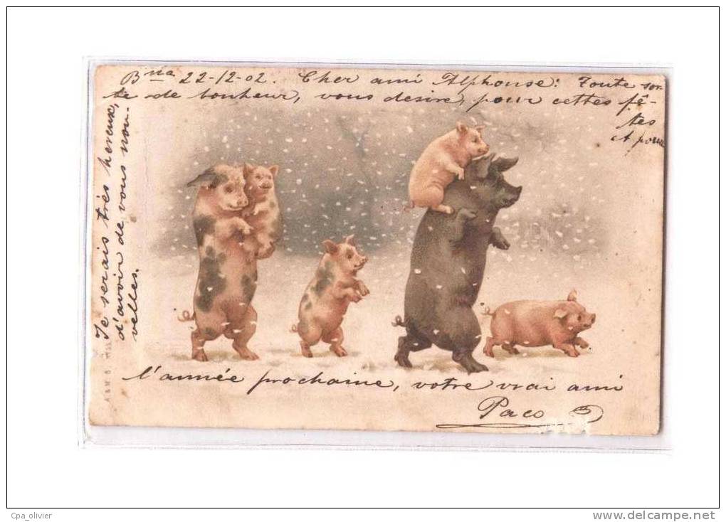 TH COCHONS Famille, Porc, Truie Avec Porcelets Sur Le Dos, Illustrée, Cochon, Ed A&MB 55, 1902 *** ETAT *** - Schweine