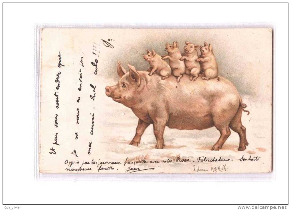 TH COCHONS Famille, Truie Avec Porcelets Sur Le Dos, Illustrée, Cochon, Ed A&MB 12, 1903 - Schweine