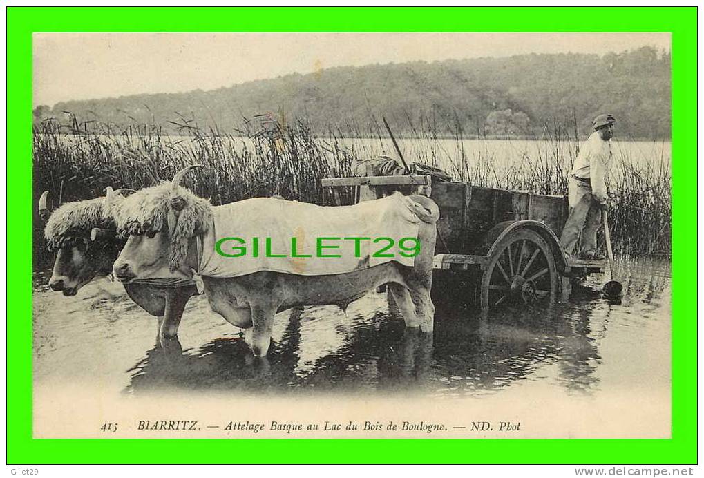 AGRICULTURE - ATTELAGE DE BOEUFS BASQUE - BIARRITZ, AU LAC DU BOIS DE BOULOGNE - ND PHOT. ANIMÉE - - Attelages