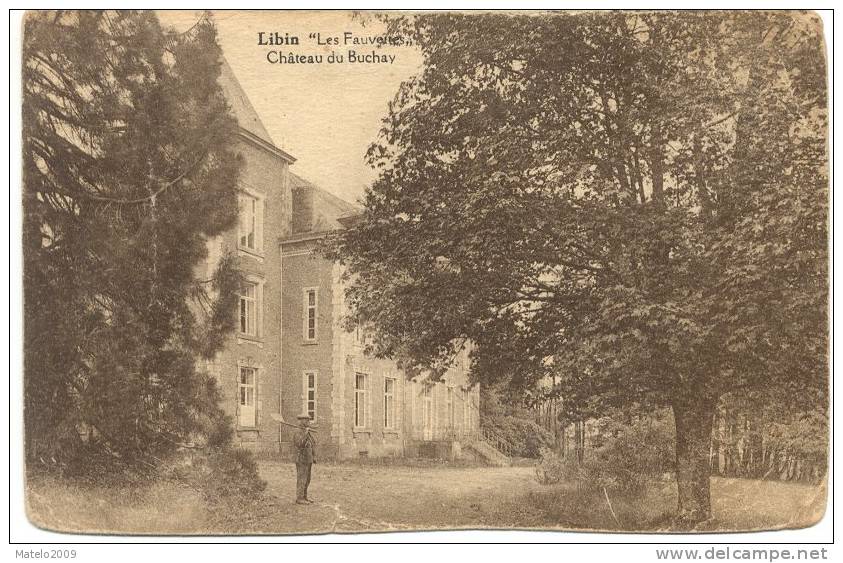 LIBIN (6890)  Les Fauvettes ,Chateau Du Buchay - Libin