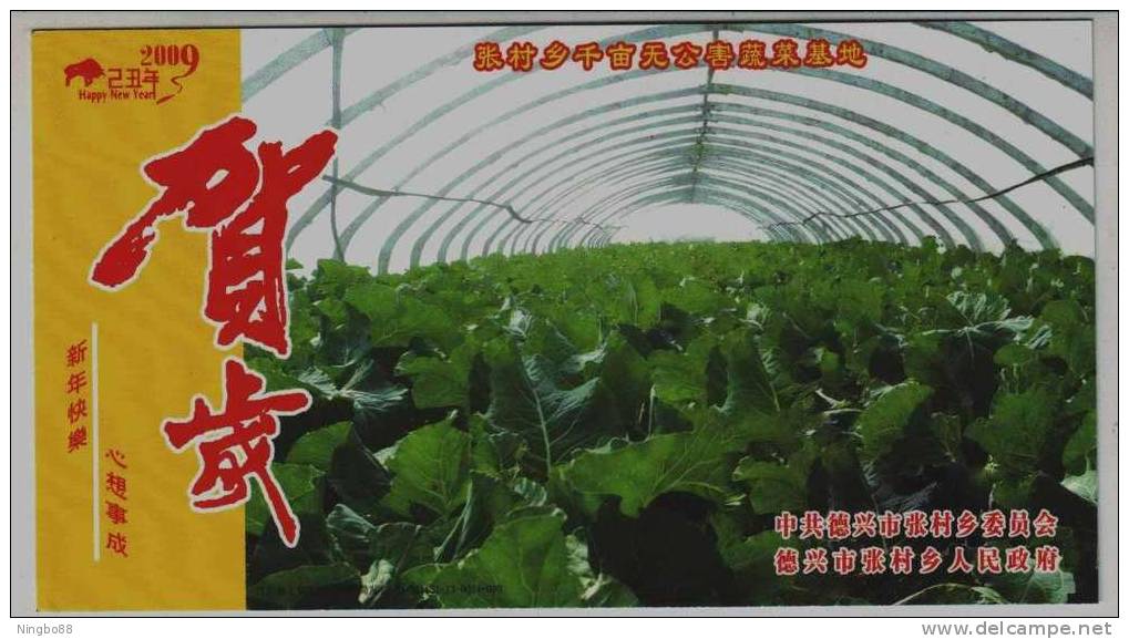 Green Non-pollution Vegetable In Polytunnel Greenhouse,CN 09 Zhangcun New Year Greeting Advertising Pre-stamped Card - Groenten