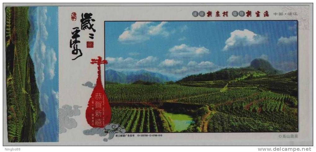 Hill Vegetable,China 2010 Pujiang New Countryside Construction Advertising Pre-stamped Card - Vegetables