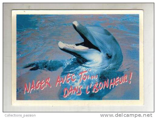 Cp, Animaux, Dauphin, Nager Avec Toi..., Photo TPS - Pix - Dauphins