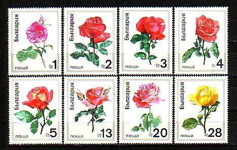 BULGARIA / BULGARIE - 1970 - Roses - 8v ** - Rosen