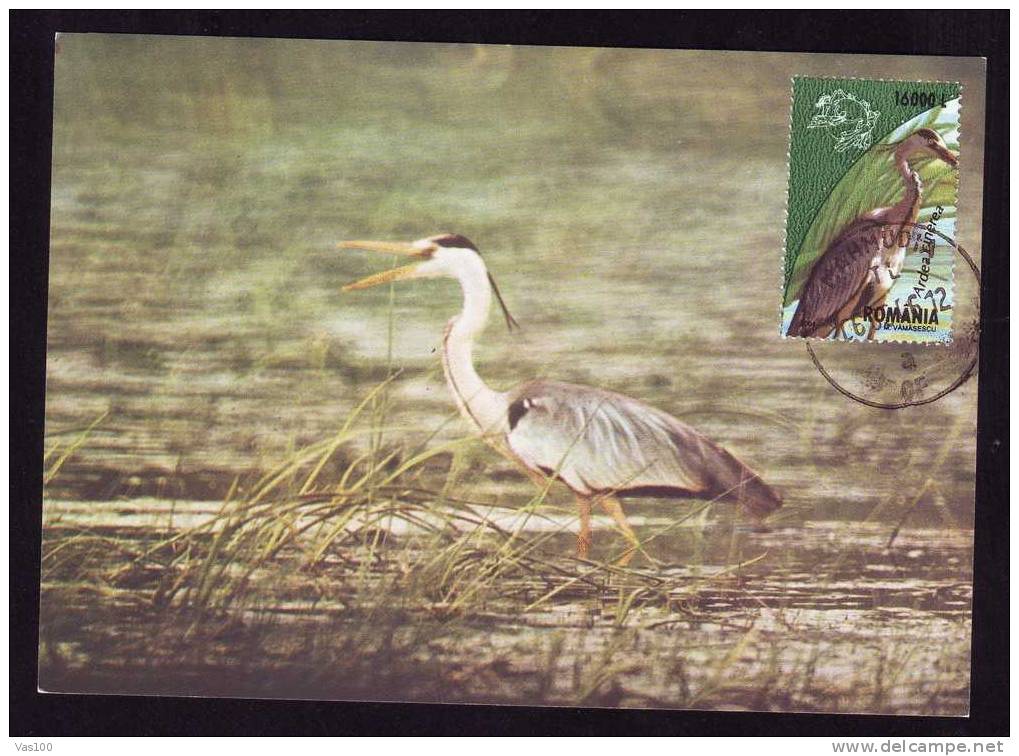 Bird "Ardea Cinerea":MAXIMUM CARD, 2006, – Carte Maximum, Maxi Card, Romania. - Cigognes & échassiers