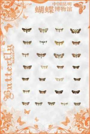 Butterfly Group Pre-stamped Card 0349 E - Papillons