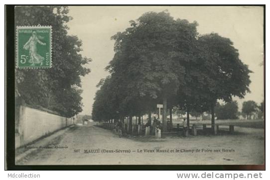 79 MAUZE SUR LE MIGNON /            Le Vieux Mauzé Et Champ De Foire Aux Boeufs        / - Mauze Sur Le Mignon