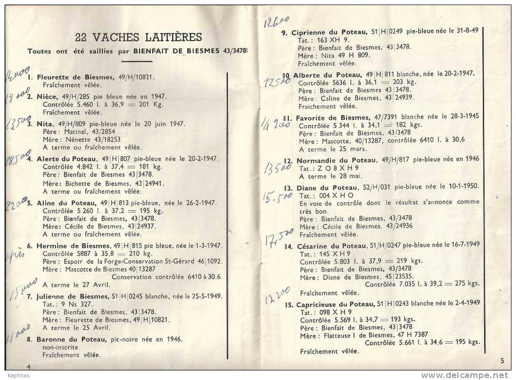 FROIDCHAPELLE : RARE DOCUMENT - Catalogue De Vente Publique D'un Cheptel De La FERME DU POTEAU 1953 - België