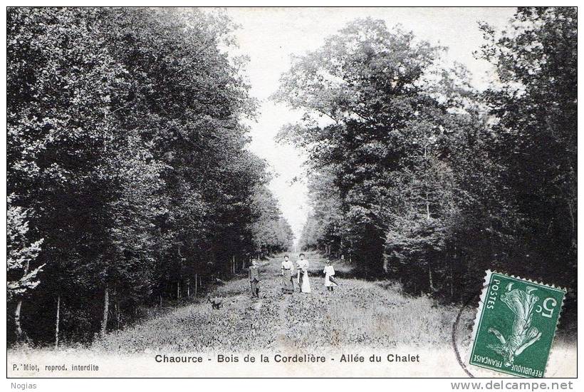 CHAOURCE - L´ALLEE DU CHALET ANIMEE DANS LE BOIS DE LA CORDELIERE - TOP !!! - Chaource