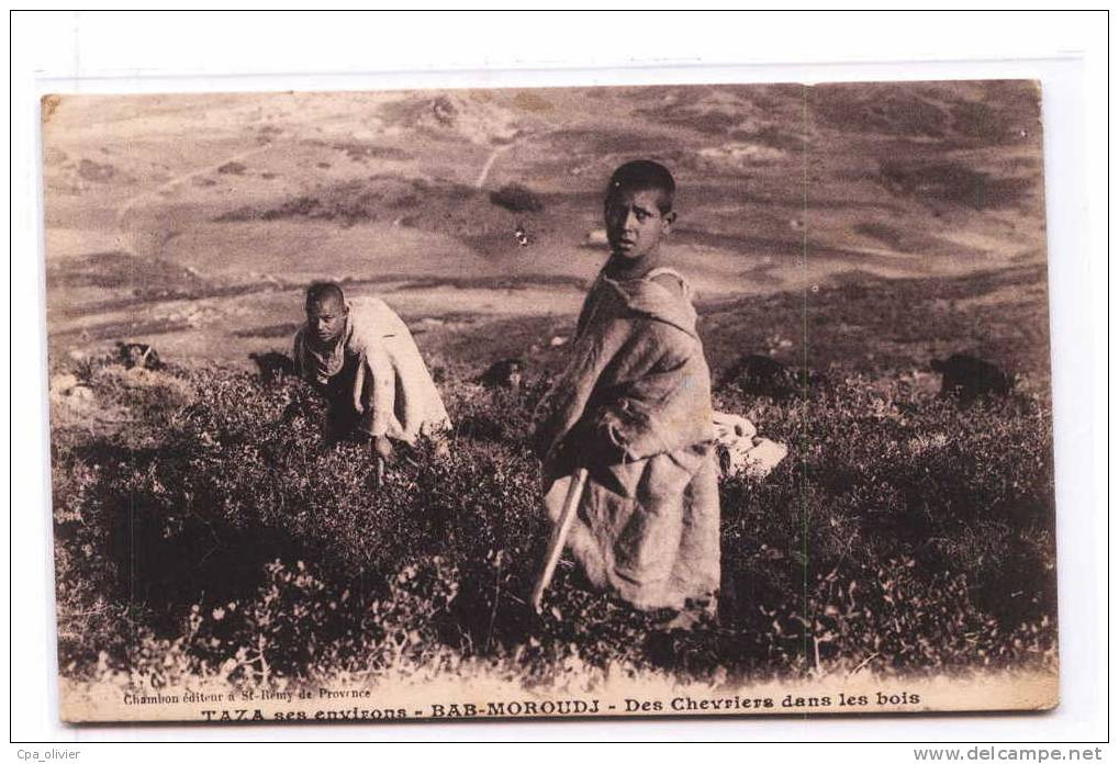 MAROC Bab Moroudj, Chevrier Dans Les Bois, Beau Plan, Ed Chambon, Taza Et Ses Environs, 1916 - Autres & Non Classés