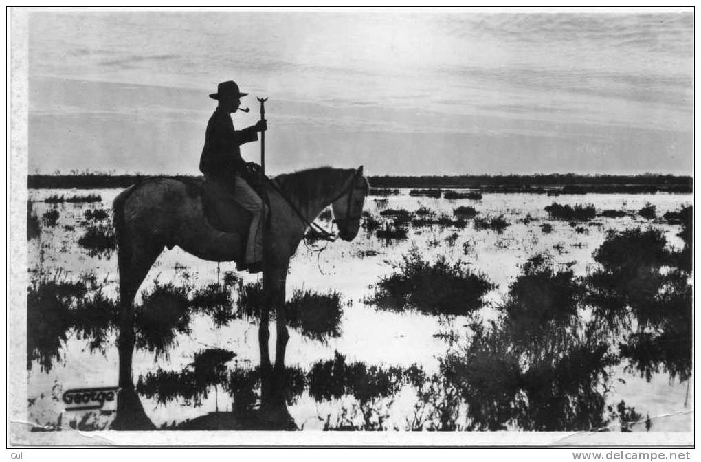 En CAMARGUE - Dans Le Marais Au Soleil Couchant -Cpsm Photo Noir Et Blanc Dentelée Petit Format 14  X  9  Cms *PRIX FIXE - Autres & Non Classés