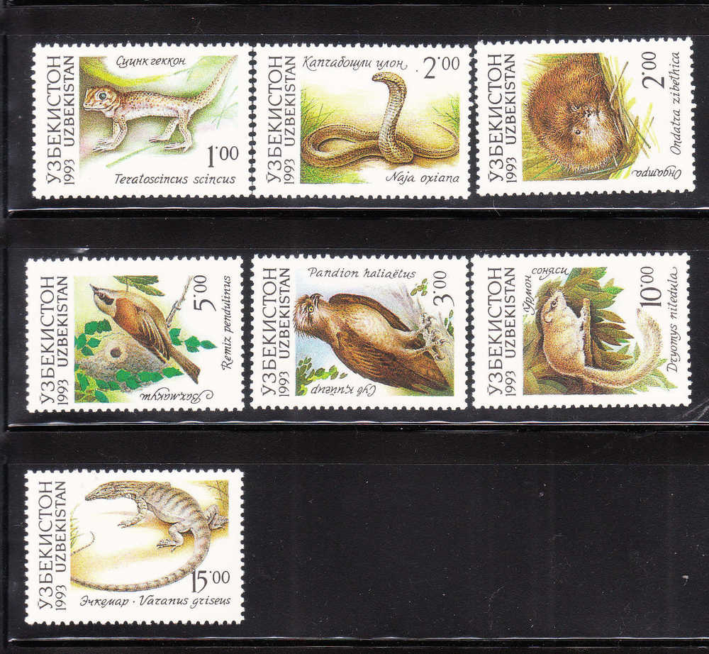 Uzbekistan 1993 Fauna Lizard Birds Snake Eagle MNH - Usbekistan