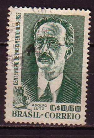 D1164 - BRAZIL Yv N°613 - Used Stamps