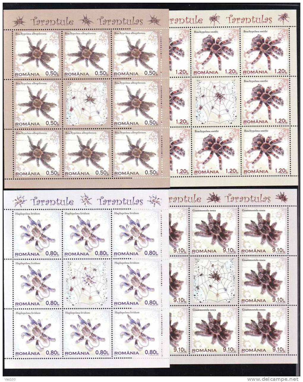 Tarantule ,Tarantulas 2010 Romania  Minisheet MNH ** - Kikkers