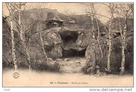 Franchard - Roche Qui Pleure  (12289) - Dolmen & Menhire
