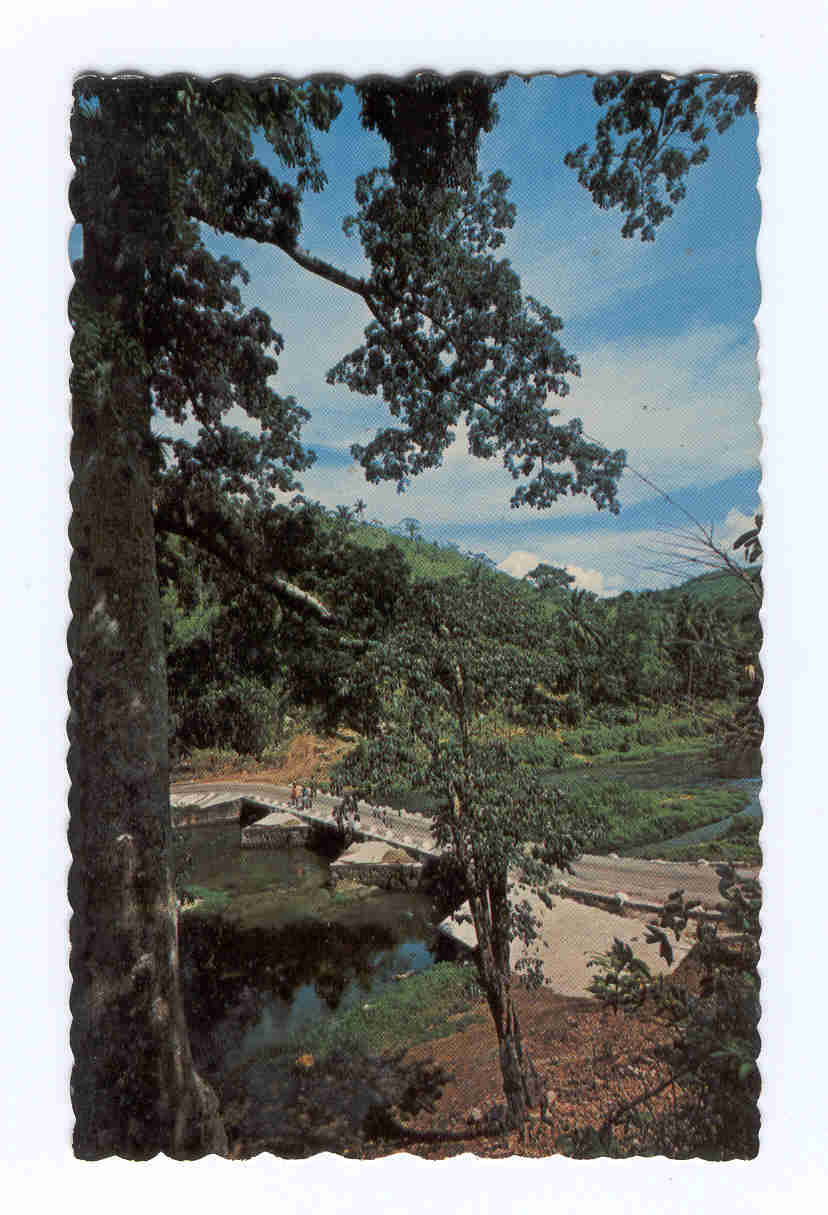 JAMAIQUE  W. I.  The Flat Bridge Crossing The Famous Rio Cobre River. - Jamaïque