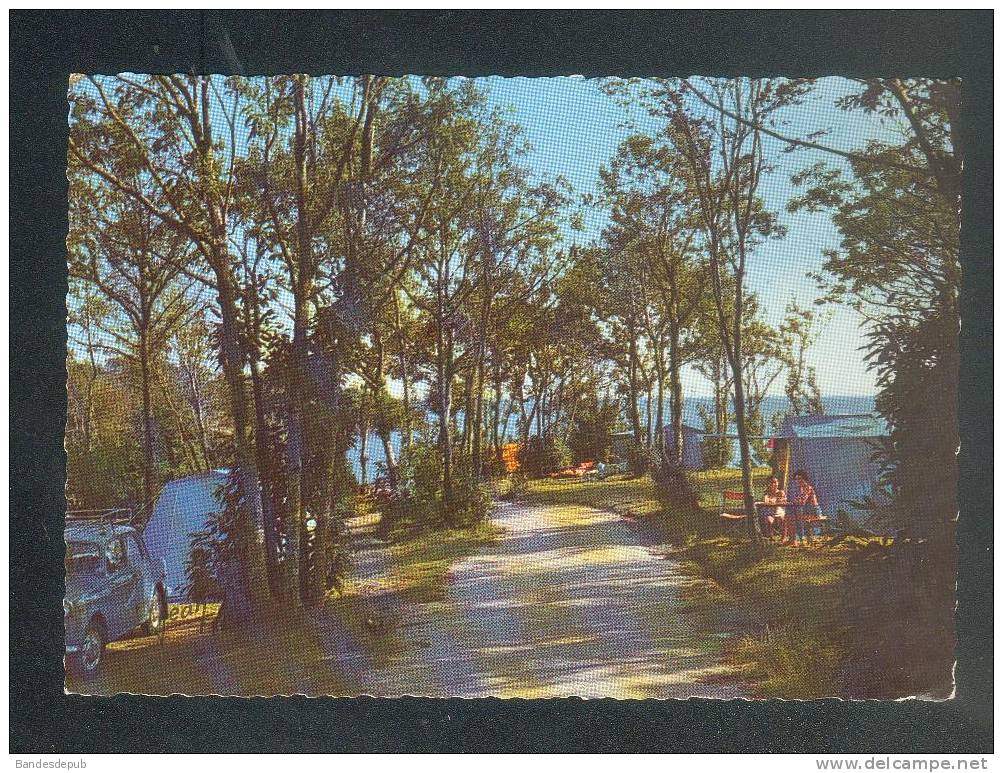 CPSM - La Forêt Fouesnant (29) - Camping Du Saint Laurent - Sous Bois En Bordure De Mer ( Animée Ed. JEAN) - La Forêt-Fouesnant