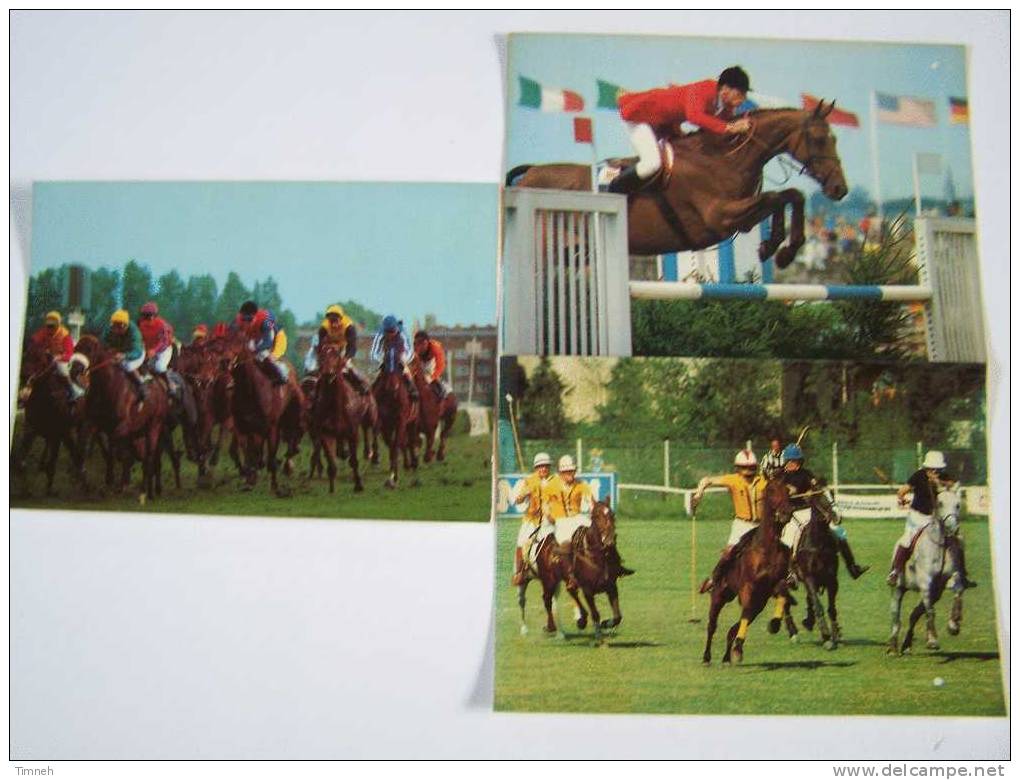 3 Cartes Chevaux Courses Polo Obstacles Hippiques-made By Kruger - Reitsport