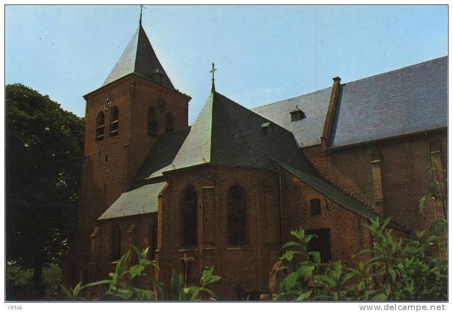 Hoogstraten - Wortel  :   Sint-Jan De Doperkerk   ( Groot Formaat ) - Hoogstraten