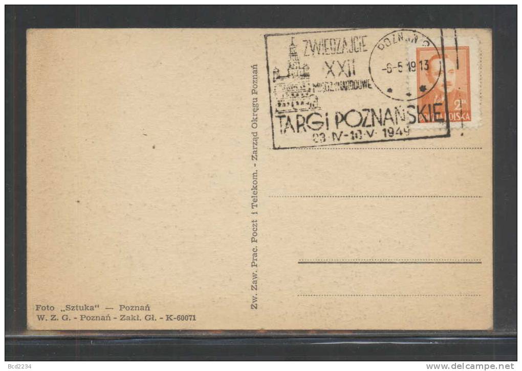 POLAND 1949 POZNAN TRADE FAIR SPECIAL CANCEL ON POSTCARD (MYSLICKI #49 025 POZNAN 2 3 STAR VERSION) - Briefe U. Dokumente