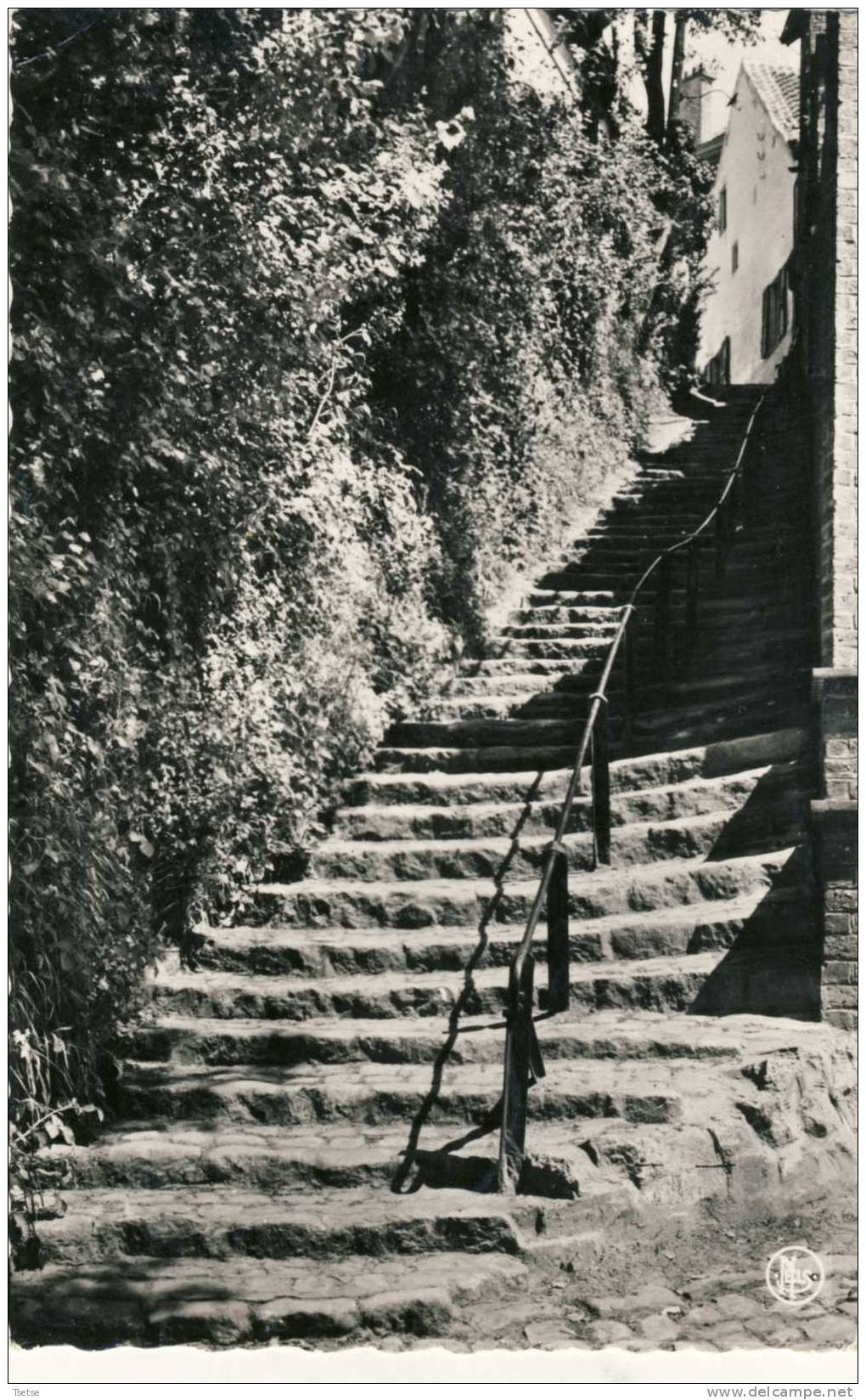 Linkebeek - Escalier Du Centenaire -1964 - Linkebeek