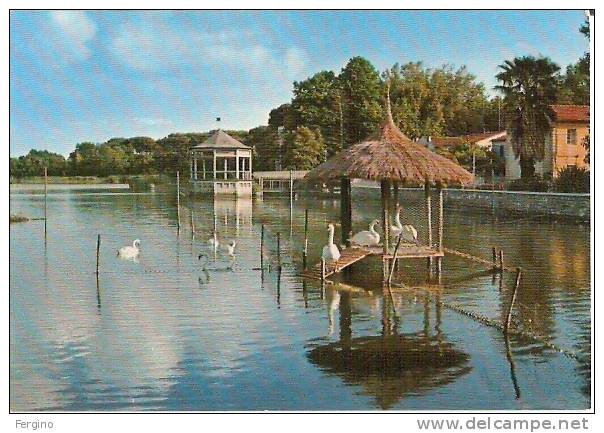 9629 - TORRE DEL LAGO PUCCINI - (VIAREGGIO LUCCA) - Il Lago - Viareggio