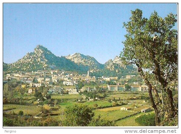 9635/FG/10 - AGGIUS (OLBIA TEMPIO) - Panorama - Olbia