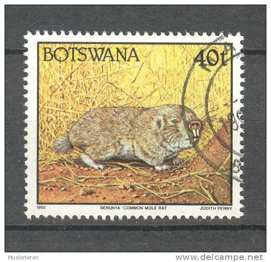 Botswana 1992 SG. 748   40 C. Animals Common Mole Rat - Botswana (1966-...)