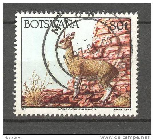 Botswana 1992 SG. 751   80 C. Animals Common Mole Rat - Botswana (1966-...)