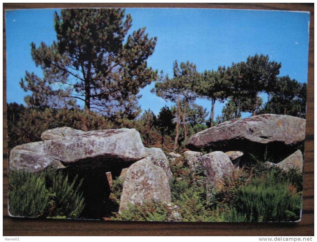 Carnac- Plouharnel      ( Morbihan )      DOLMENS - Dolmen & Menhirs