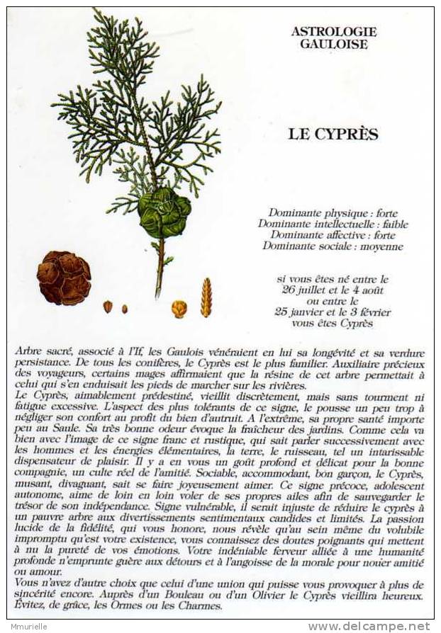 LE CYPRES-MB - Astrologie