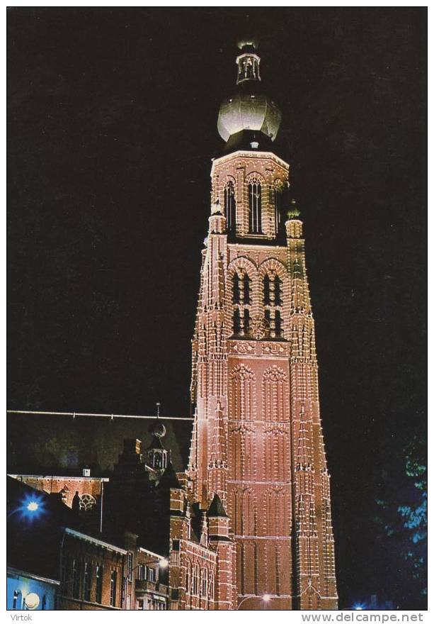 Hoogstraten  :   St. Katherina Kerk Bij Nacht    ( Groot Formaat ) - Hoogstraten