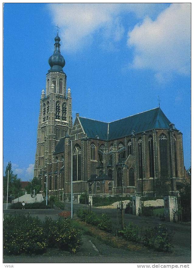 Hoogstraten  :   St. Katherina Kerk     ( Groot Formaat ) - Hoogstraten