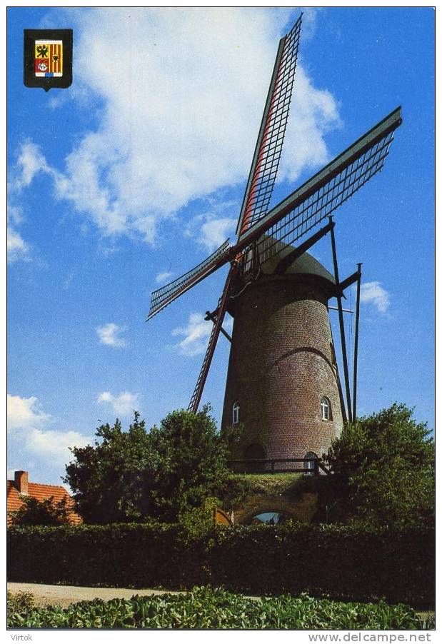 Hoogstraten  :  Windmolen  ( Groot Formaat ) - Hoogstraten