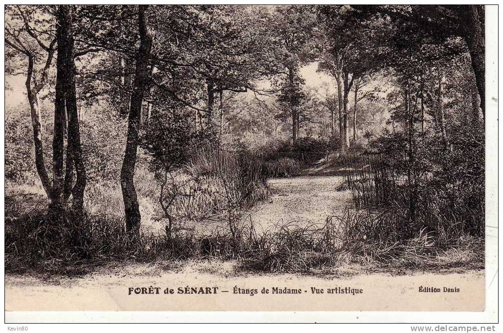91 Forêt De SENART Etangs De Madame Vue Artistique - Sénart