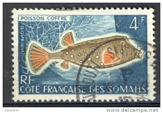 Cote Française Des Somalis 1959, Mi. # 323 (o), Used, Fish, Fisch, Vis, Poisson - Andere & Zonder Classificatie