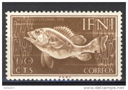 Ifni 1953, Mi. # 131 *, MH, Fish, Vis, Fisch, Poisson - Ifni