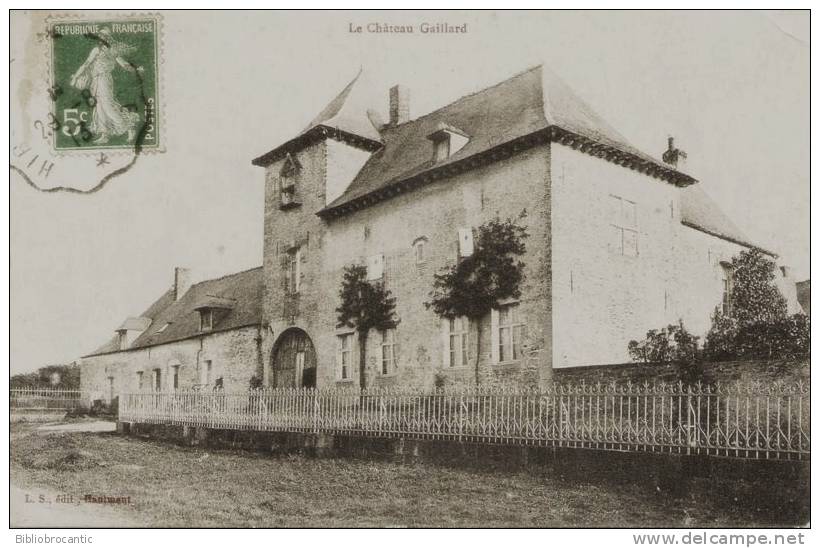 D62 - SAINT HILAIRE SUR HELPE - VUE DU CHATEAU GAILLARD - Avion