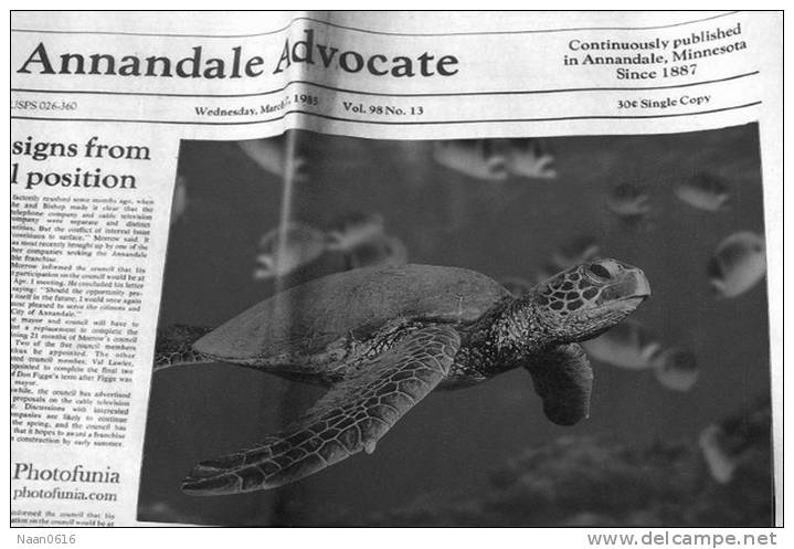 Turtle ,     Newspaper                                                     (A01-014) - Tortues