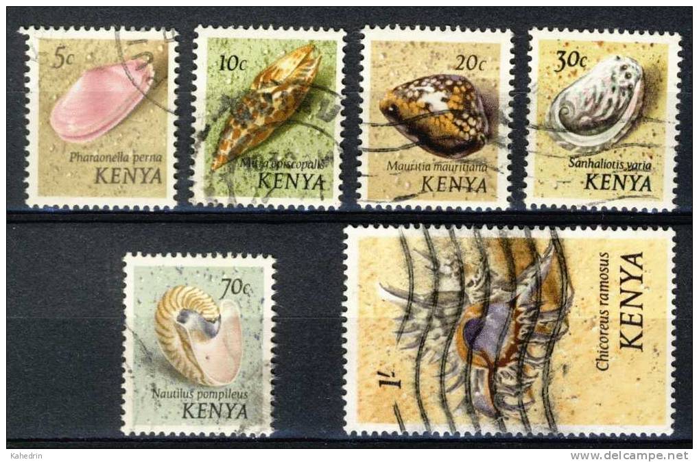 Kenia / Kenya 1971, Small Collection, All Used, Shells, Schelpen, Muscheln, Coquilles - Kenia (1963-...)