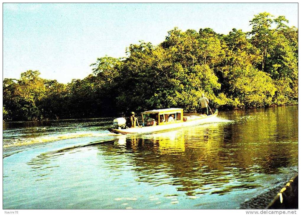 GUYANE FRANCAISE ET SURINAM  PIROGUE DANS LE FLEUVE - Surinam