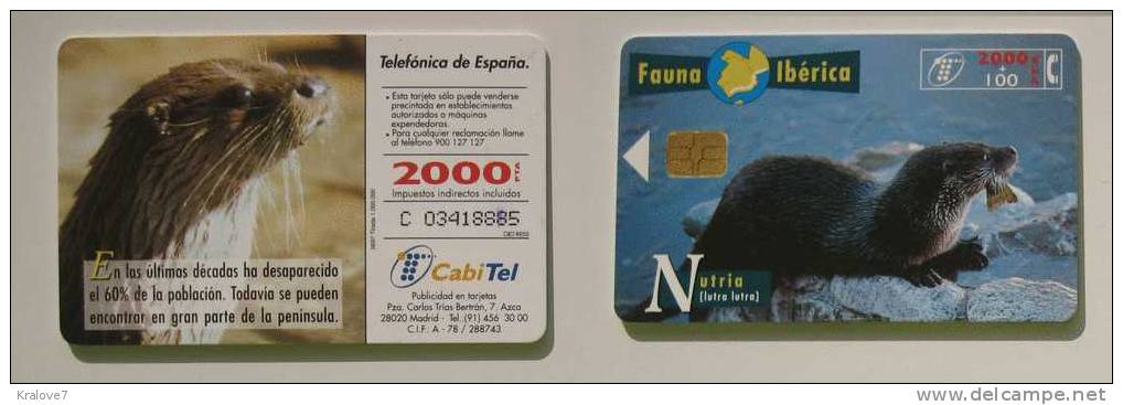 SPAIN ESPAGNE TELEPHONE CARD TELECARTE FAUNE 1997 FAUNE FAUNA - Otros & Sin Clasificación