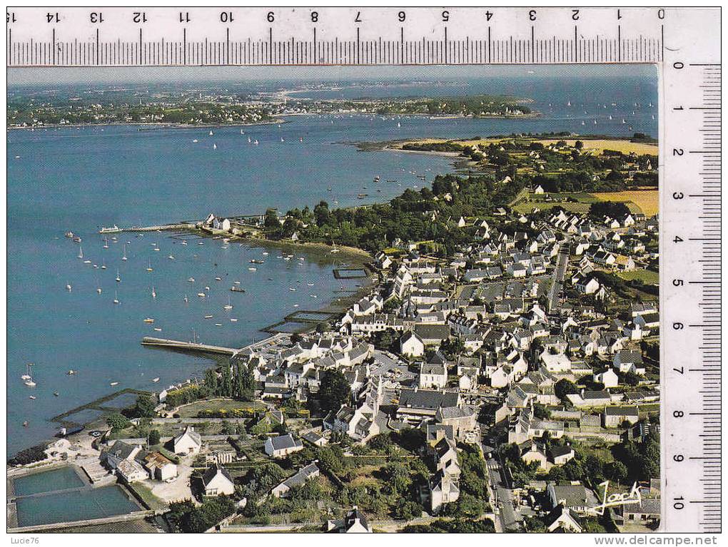 LOCMARIAQUER -  Vue Générale Du Port Et L´Entrée Du Golfe Du Morbihan - Locmariaquer