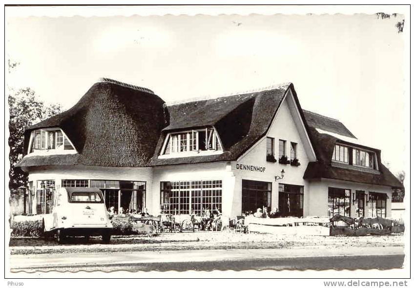 B2874 :   BRASSCHAAT : Restaurant Dennenhof - Brasschaat