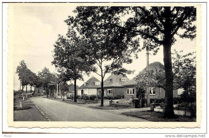 B2883 :   ARENDONK : Kloosterlaan - Arendonk