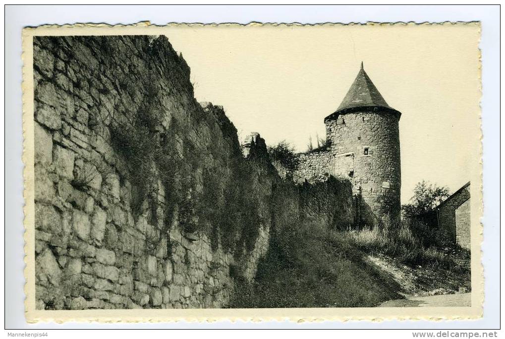 Nismes - Ruines Du Château Féodal - Viroinval