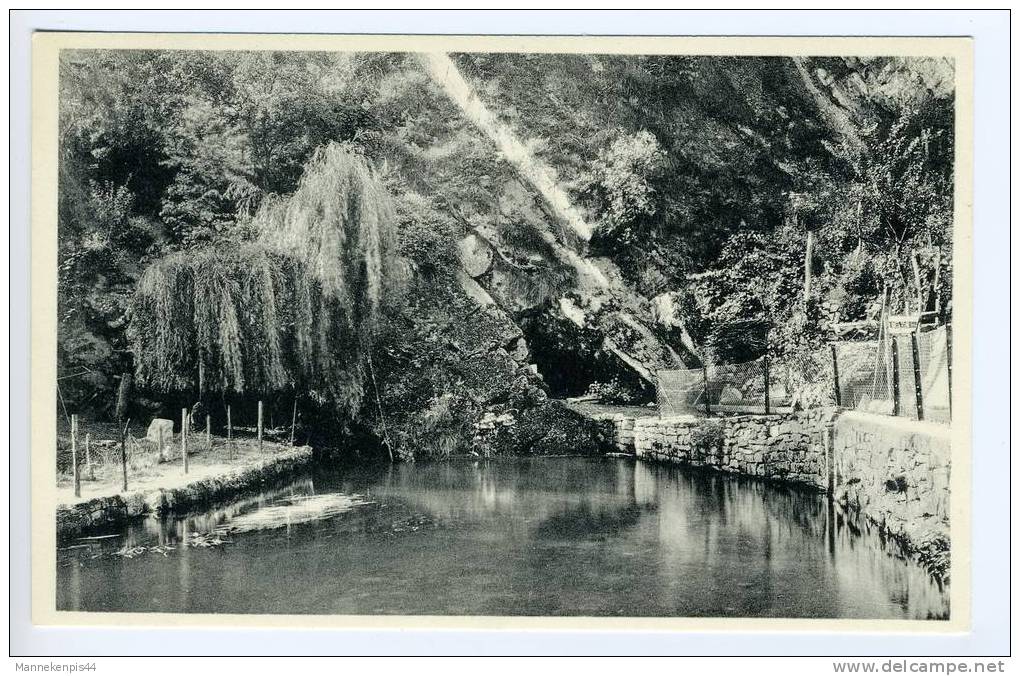 Nismes - Sortie De L'Eau Noire De La Montagne - Viroinval