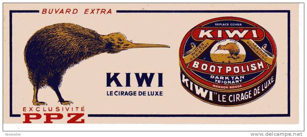 BUVARD - KIWI - LE CIRAGE DE LUXE - EXCLUSIVITE PPZ - Shoes