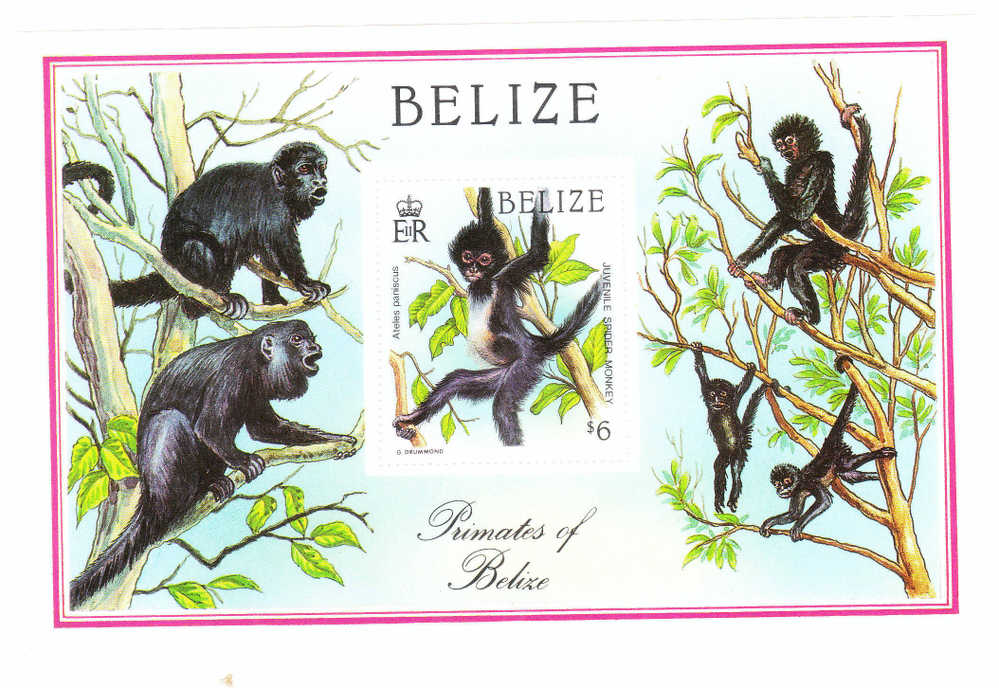 Belize 1987 Indigenous Primates Black Spider Monkey S/S MNH - Belice (1973-...)